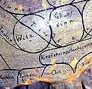 Phrenologisches Kopfmodell (Bild: Curious Expeditions, flickr)